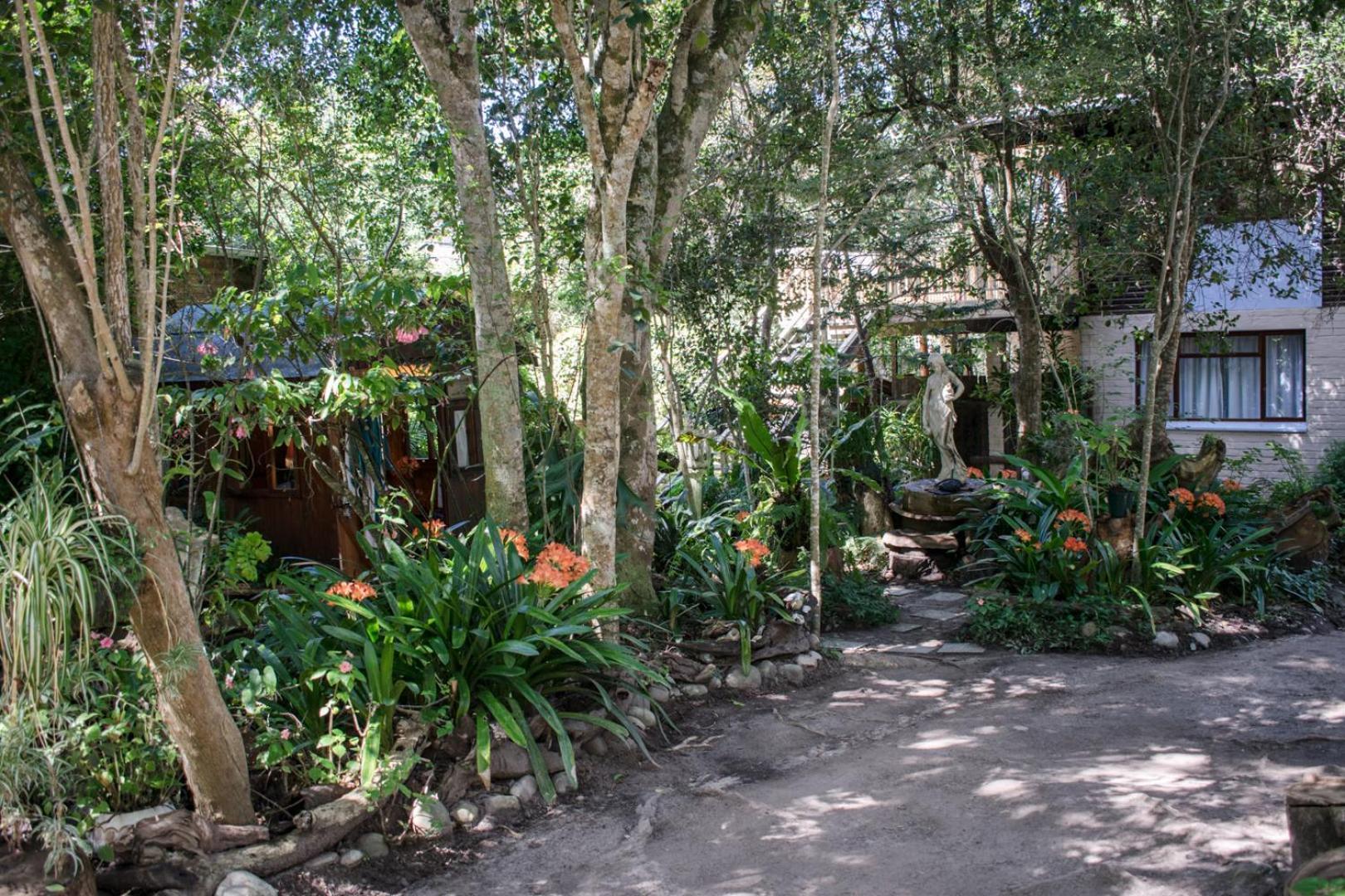 Nature'S Valley Health Retreat A Hide Away In The Forest Exterior photo