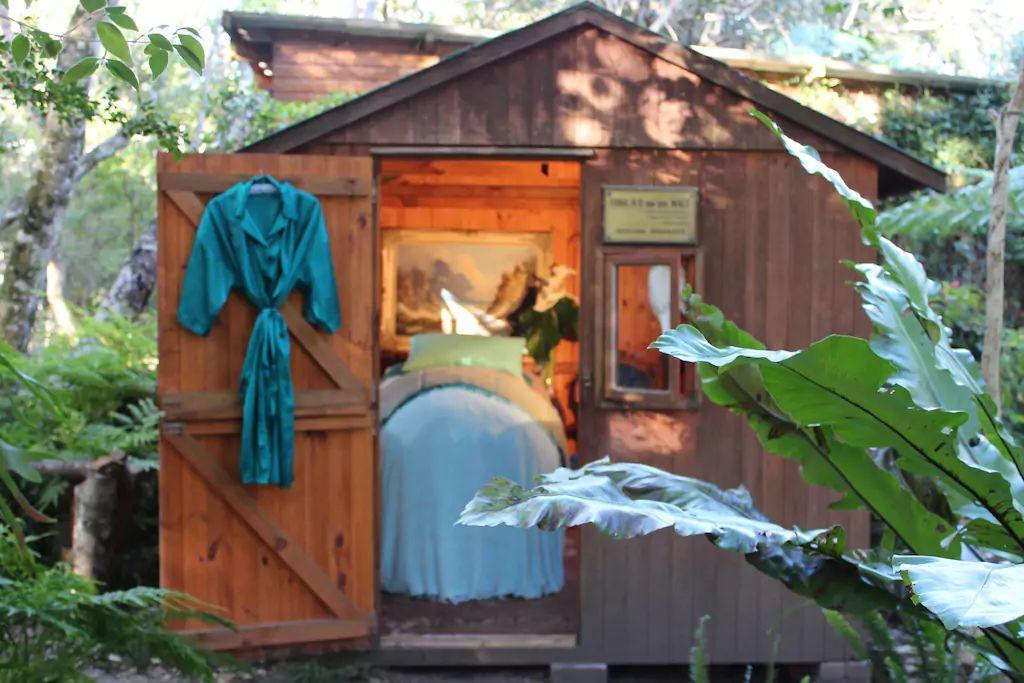 Nature'S Valley Health Retreat A Hide Away In The Forest Exterior photo