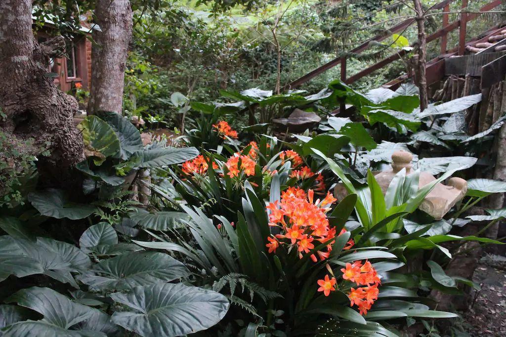 Nature'S Valley Health Retreat A Hide Away In The Forest Villa Exterior photo